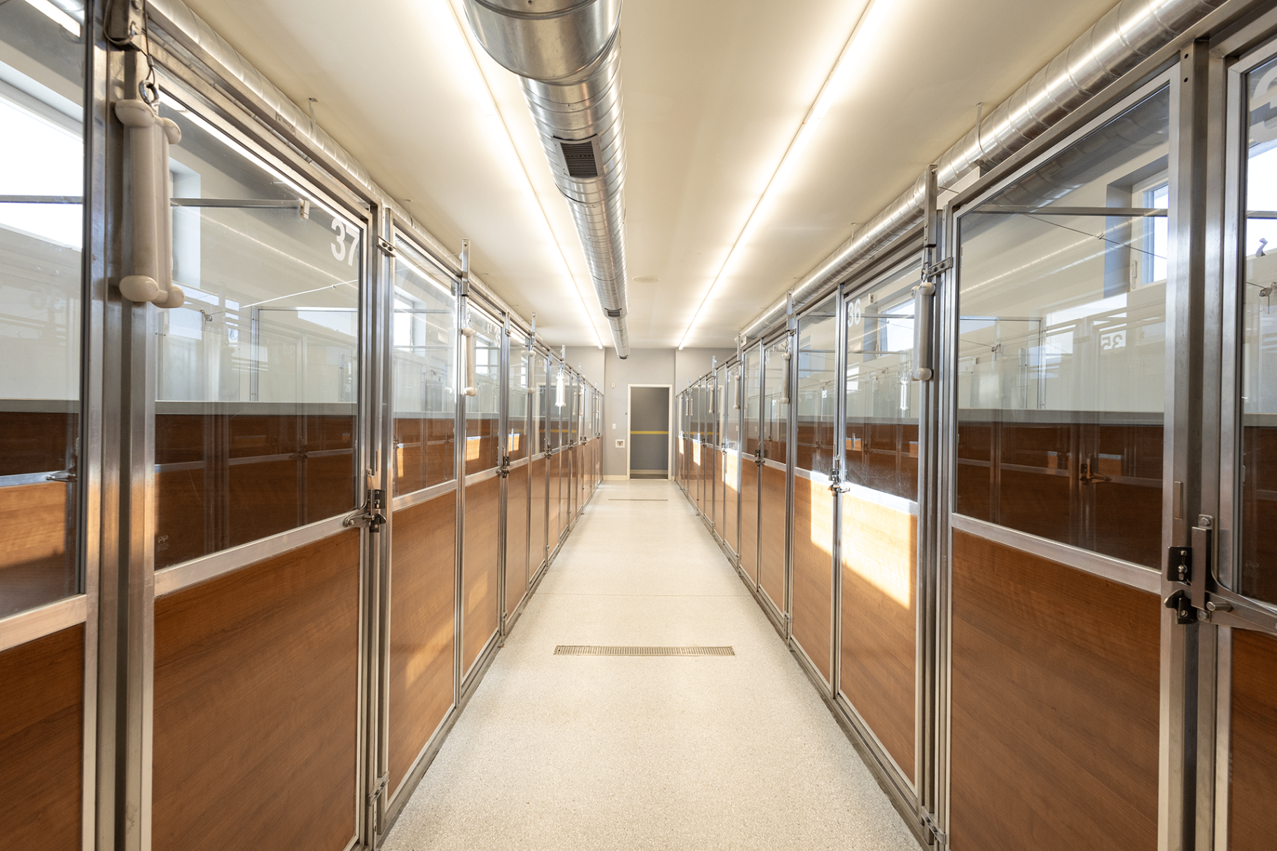 Overnight Boarding & Daycare at Top Dog Pet Resort Santa Fe