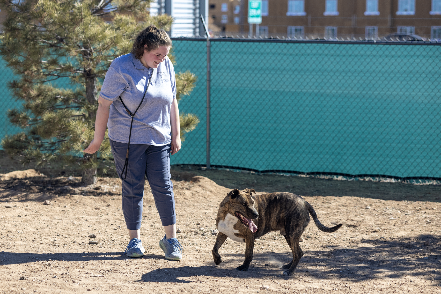 Supervised Individual Playtime at Top Dog Pet Resort Santa Fe