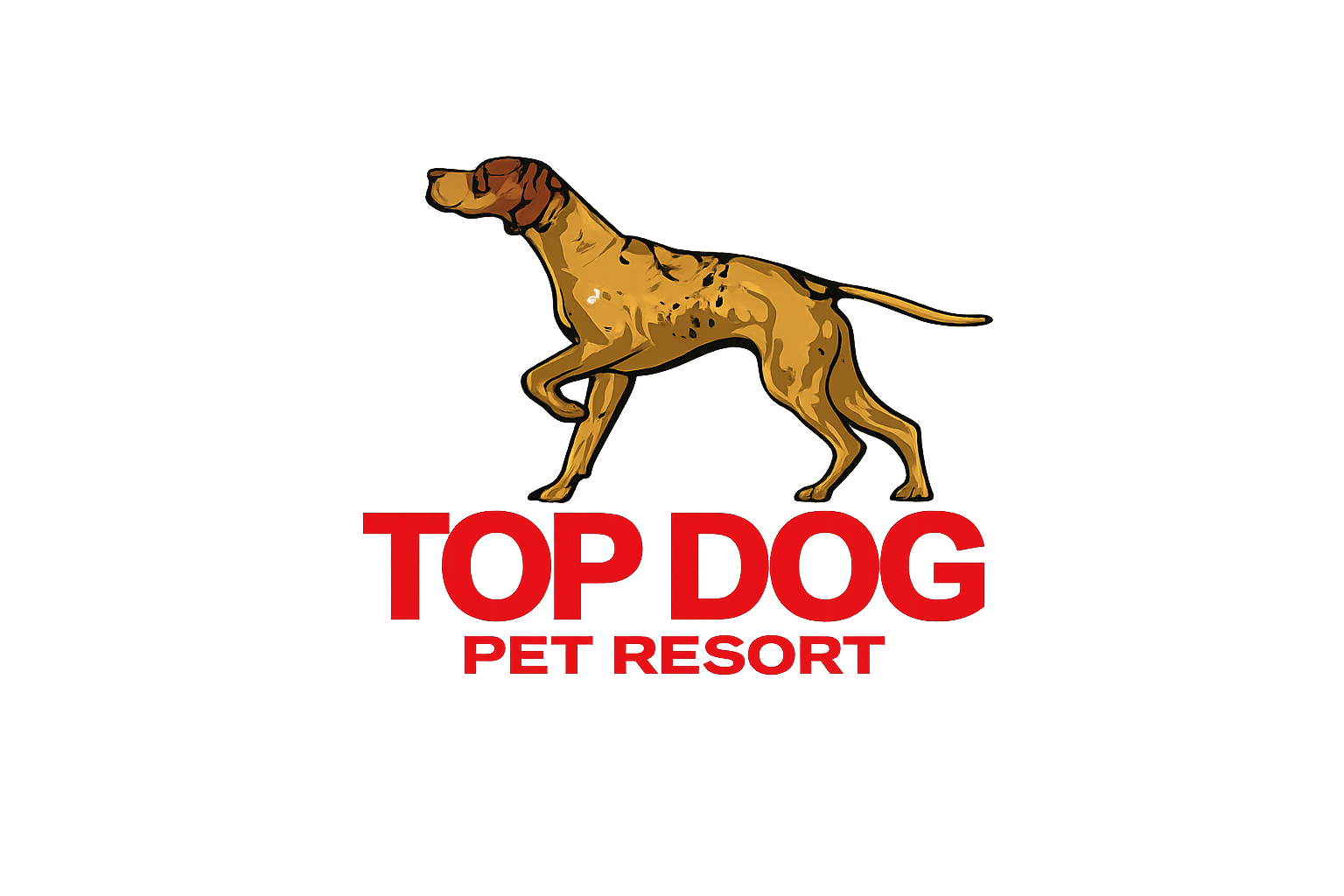 Top Dog Pet Resort